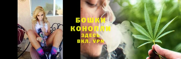 спиды Билибино