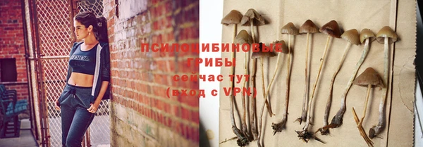 не бодяженный Аркадак